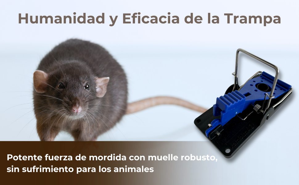 Pack 4 Trampas Trampa Ratones