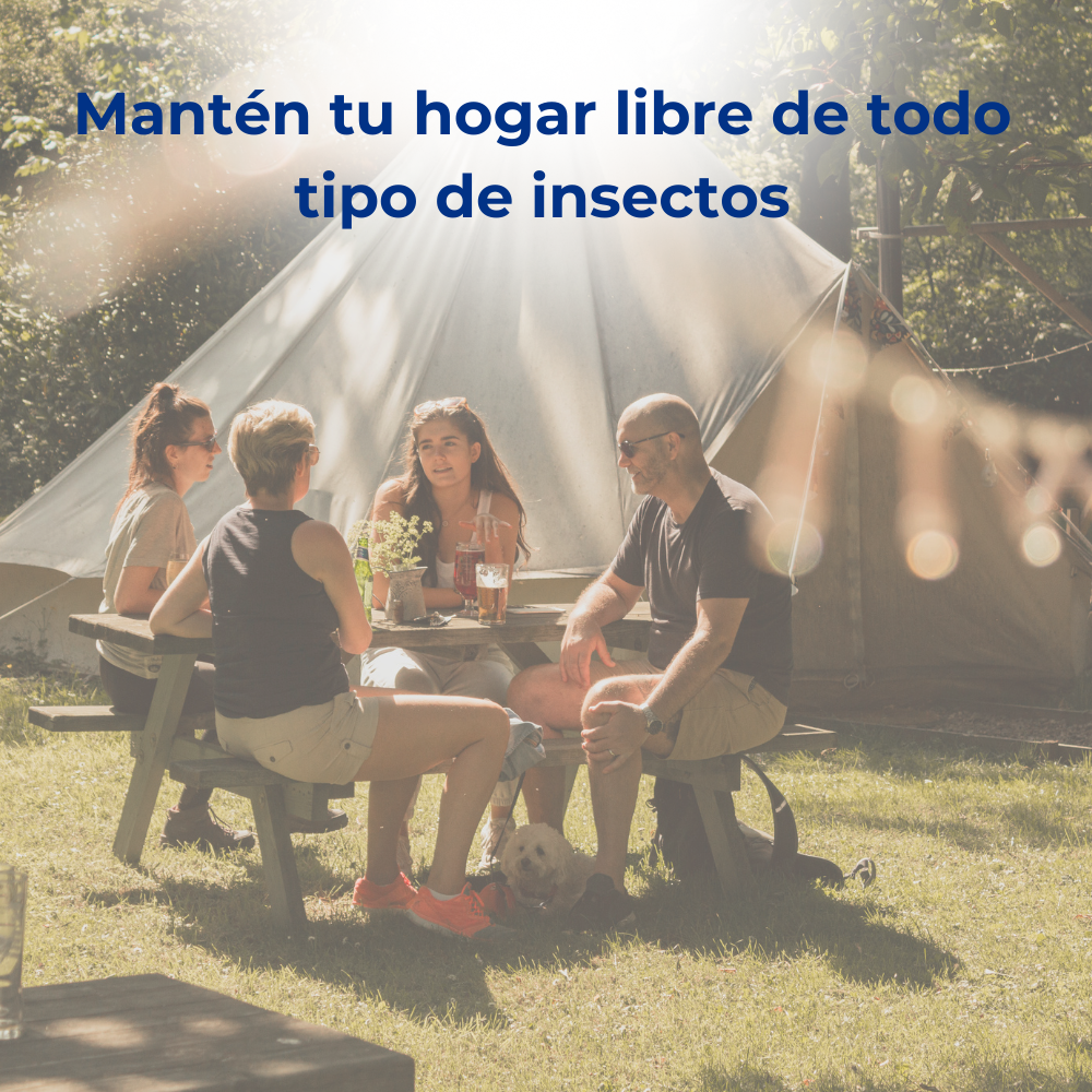 Anticimex Insecticida Rastreros y Voladores