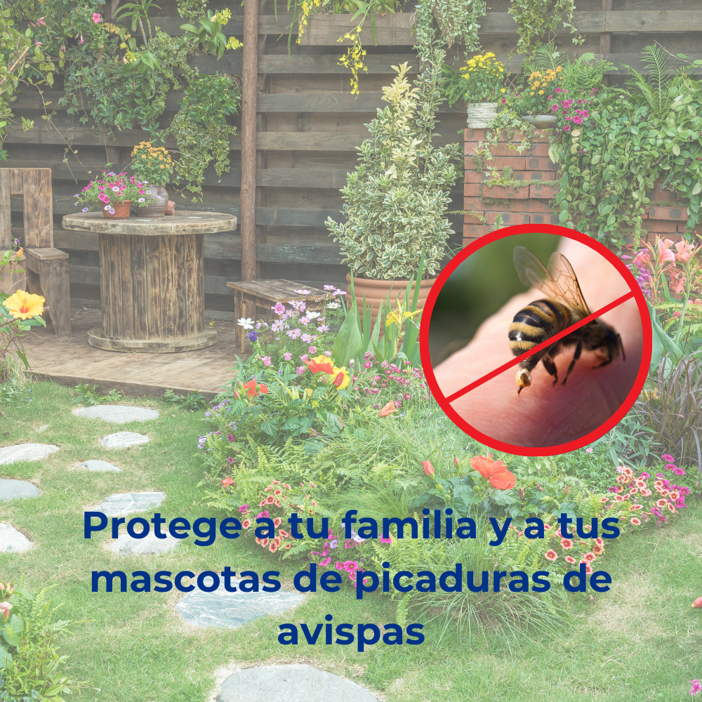 ANTICIMEX Spray Avispas