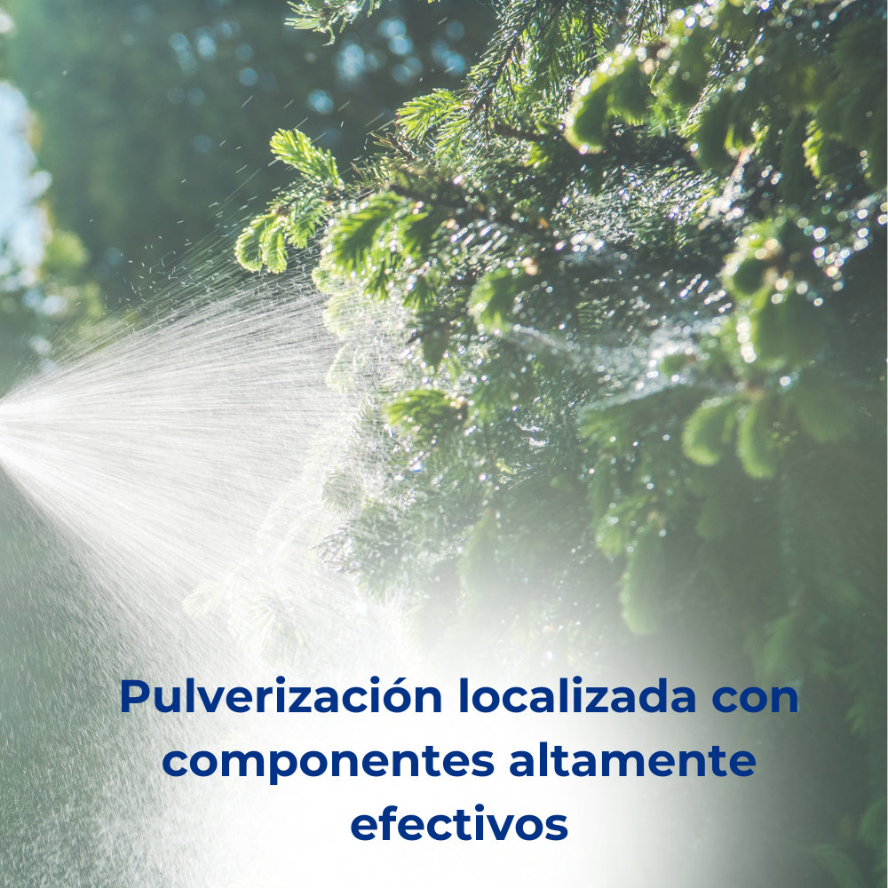 ANTICIMEX Spray Avispas