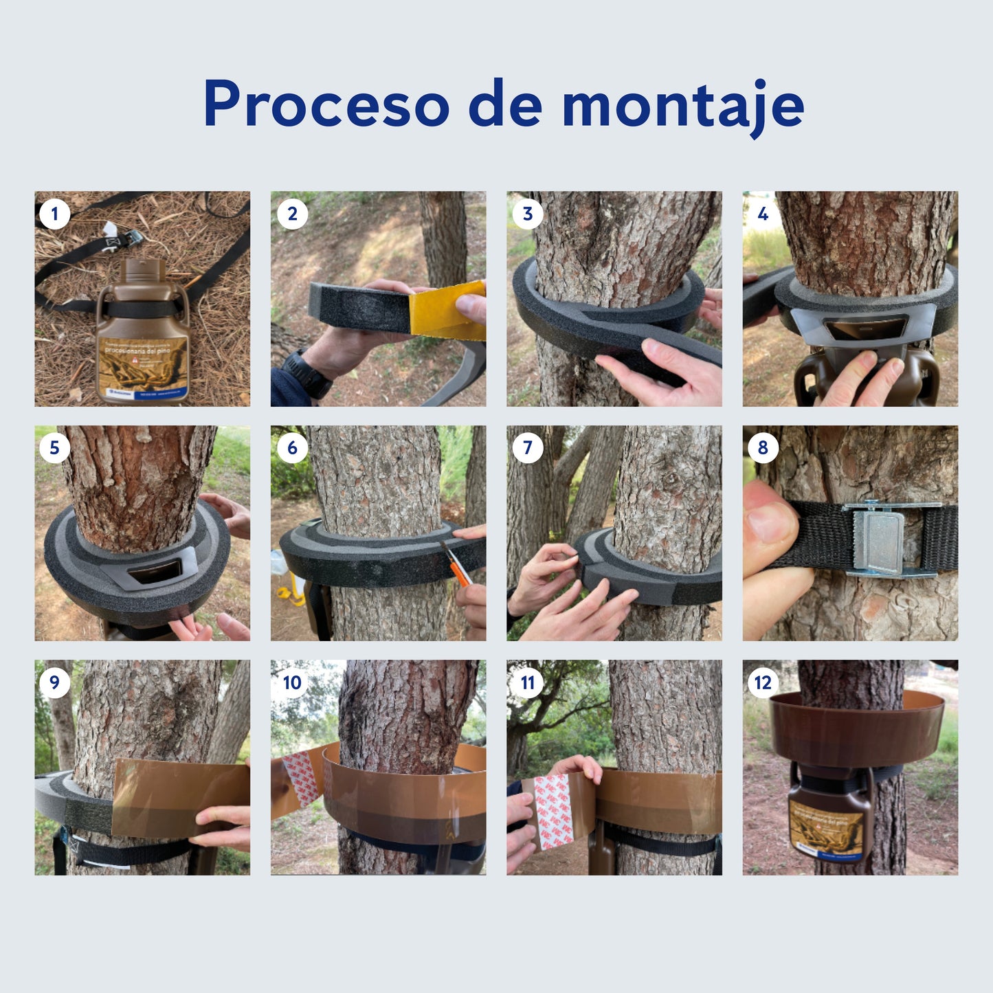 ANTICIMEX Trampa Oruga Procesionaria Pino