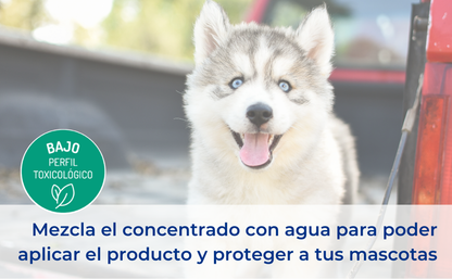 Anticimex CIPERGEN Insecticida Concentrado