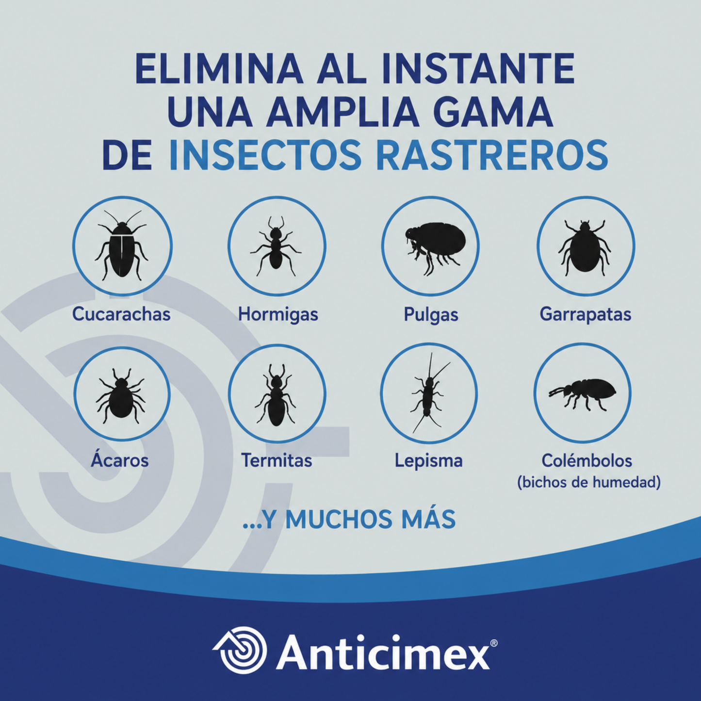 Anticimex Insecticida Concentrado CIPERGEN 9,3% | Cucarachas, Hormigas, Ácaros, Carcoma, Pulgas Alta Eficacia Efecto Inmediato | 250 ml | Insectos Rastreros