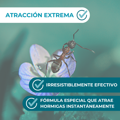 Pack de 2 Unidades Anticimex Gel Hormigas